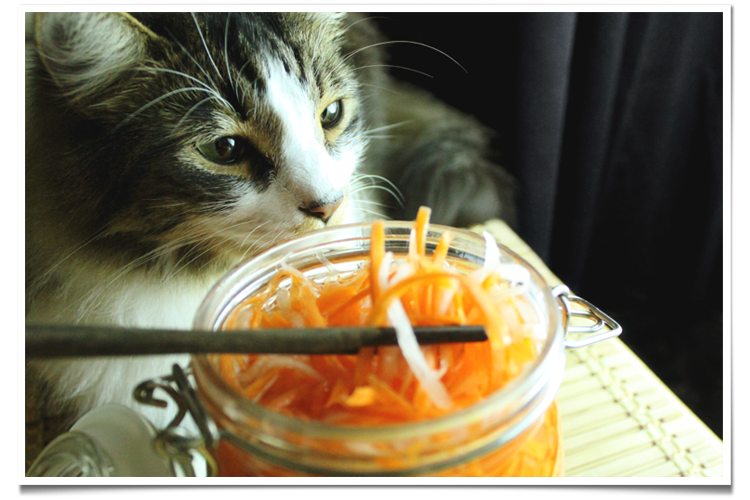 Pickled Carrots and Daikon Cat