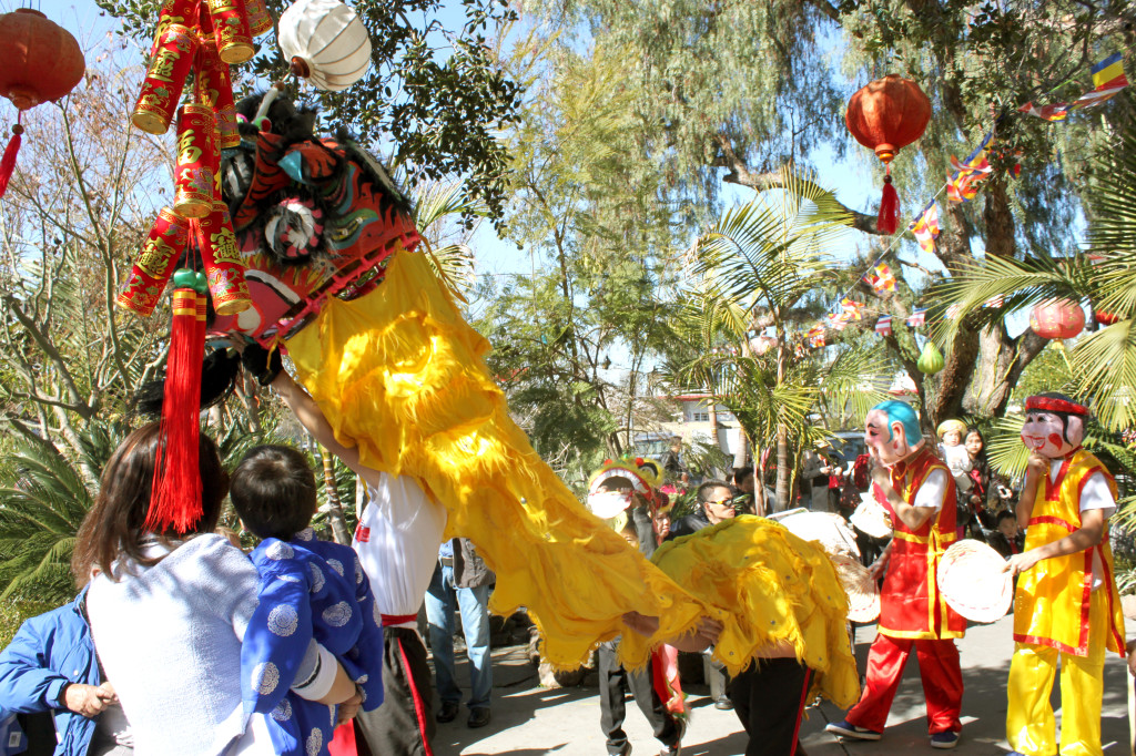 Dragon Dance